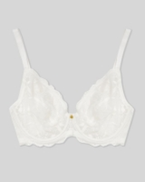 Chloe Non-Padded Wired Plunge Bra (34DD-42F)