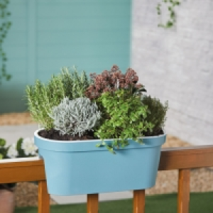 Aldi  Belavi Balcony Flower Trough