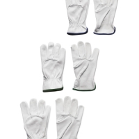 Aldi  Leather Gardening Gloves