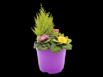 Summer Planter