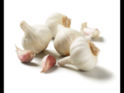 Garlic Net
