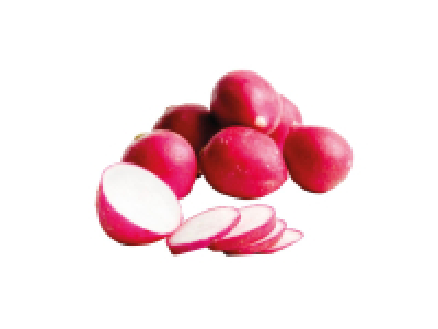 Radish