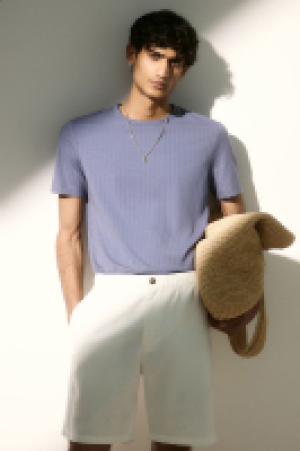 HM  Regular Fit Linen-blend shorts