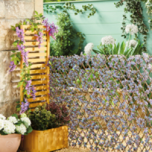 Expanding Leaf Trellis