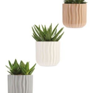 Aloe Vera in Ceramic 12cm