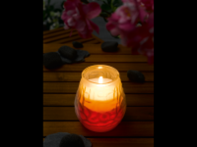Lidl  Citronella Candle