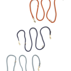 Multi-Function Lead