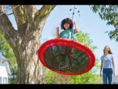 Lidl  Nest Swing