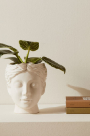 Stoneware head plant pot