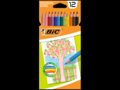 BIC Stationery Assortment