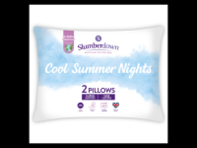 Cool Summer Nights Pillow Pair