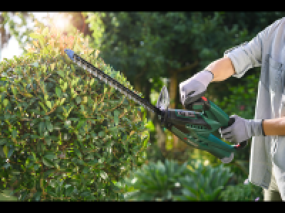 12V Cordless Hedge Trimmer