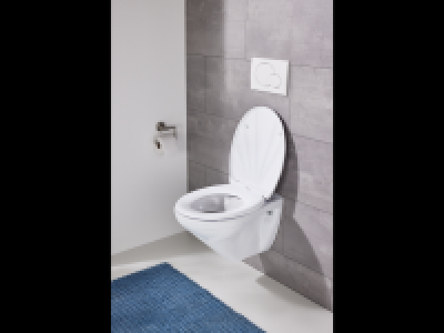 Lidl  Toilet Seat