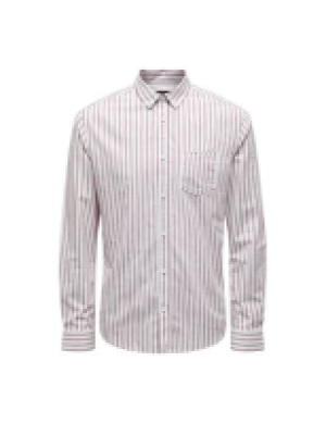 Cotton Rich Striped Oxford Shirt 22.00 €