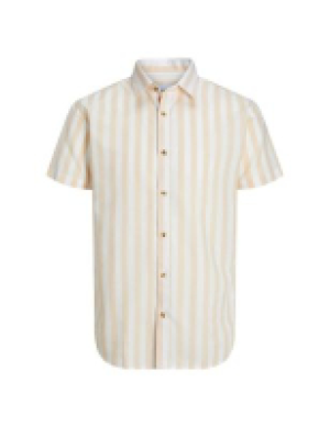 Marks and Spencer Jack & Jones Pure Cotton Striped Oxford Shirt