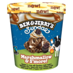 Ben & Jerrys Sundae Marshmallow & Smore Ice Cream 5.50 €