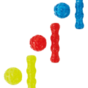 Squeaky Stick & Ball Toy
