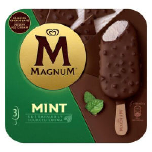Magnum Mint 3 Pack 300ml