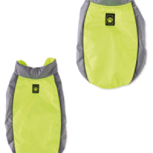 Neon Dog Coat