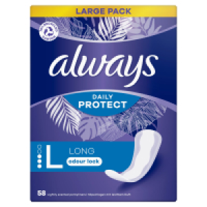 Always Dailies Value Pack Liner Large
