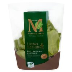 Living Butterhead Lettuce
