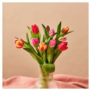 SuperValu Easter Tulips