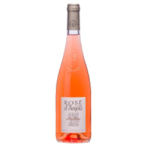 Rose De Anjou Le Point Du Jour