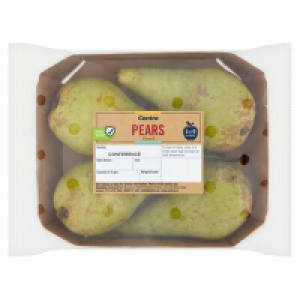 Centra  Centra Pear Tray 1pce