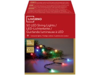 50 LED String Lights