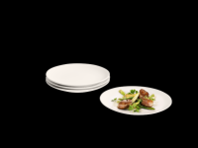Soup Bowl/Dinner Plate Set